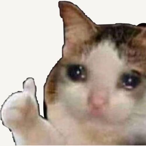 Build Something Stupid Logo